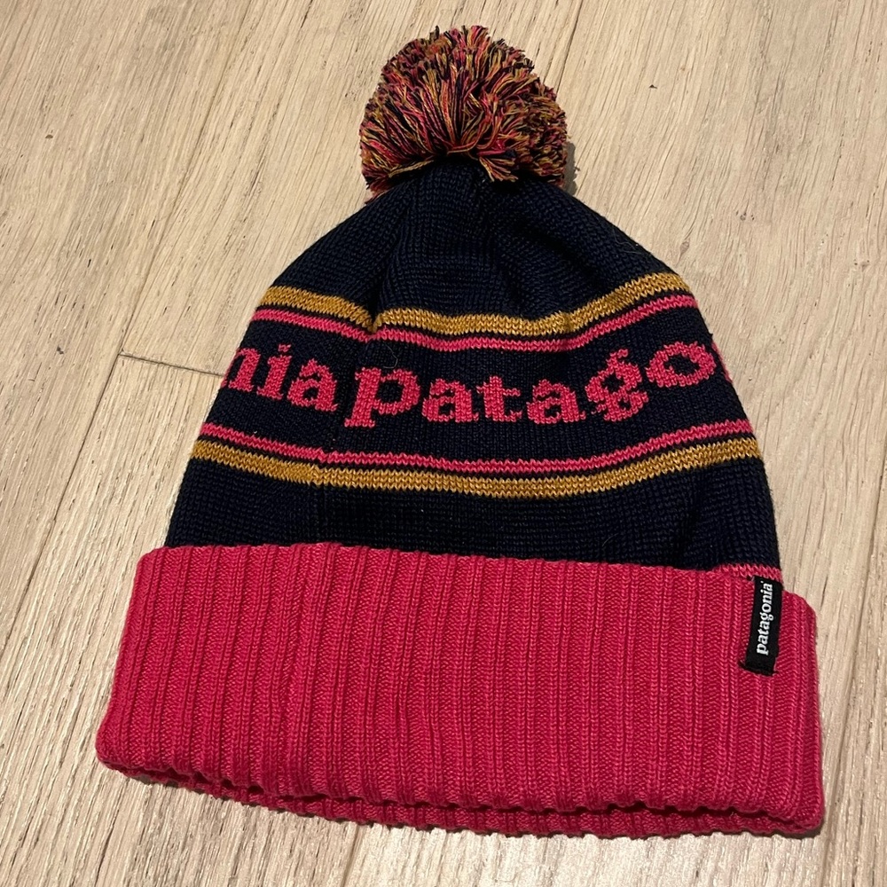 Patagonia Winter Hat